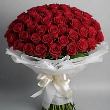 101 Красная роза Блэк Мэджик в Олекминске Букет 101 Красная роза Блэк Мэджик в Олекминске