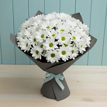Букет белые хризантемы #REPLACE_PRED# Олекминске Букет цветов из:  Хризантемы #REPLACE_PRED# Олекминске