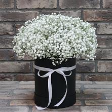 Композиция коробка гипсофил в Олекминске Цветочная композиция из Гипсофила в шляпной коробке в Олекминске